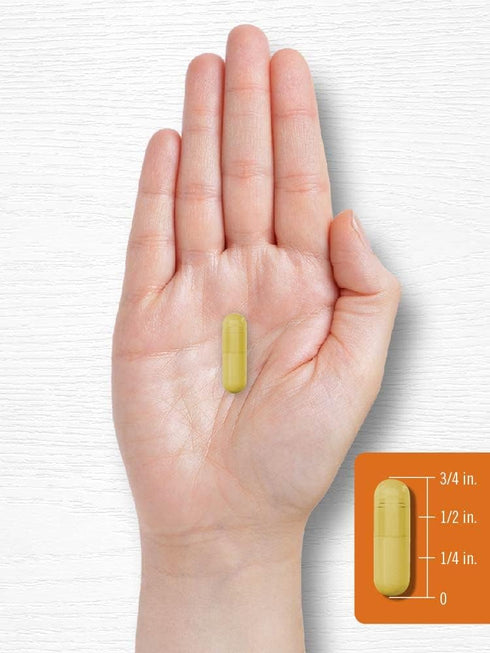 Carlyle Turmeric Curcumin Supplement 2400mg | 180 Powder Capsules | Non-GMO, Gluten Free | Herbal Formula