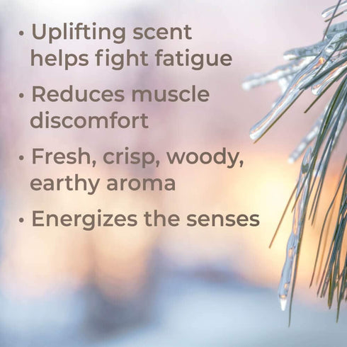 Plant Therapy Organic Black Spruce 10 mL (1/3 oz) Essential Oil 100% Pure, Undiluted, Therapeutic Grade