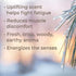 Plant Therapy Black Spruce Essential Oil 10 mL (1/3 oz) 100% Pure, Undiluted, Therapeutic Grade