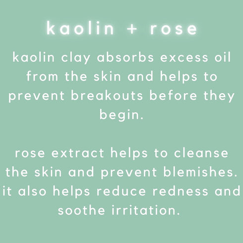 Kaolin Clay Facial Mask - Pore Cleansing Skincare Treatment with Rose - 5.1 fl oz