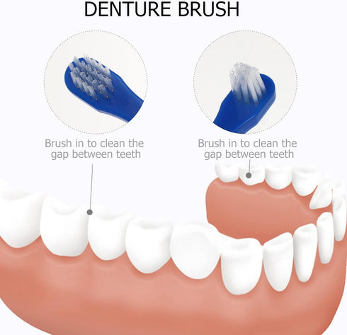 Healifty Denture Brush, Double Sided Cleaning Tool for False Teeth, 2pcs (White + Blue)
