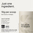 Sports Research Gelatin Collagen Cooking Powder, Non-GMO, Keto Friendly, Great for Cooking & Baking, Sourced from