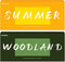 Summer & Woodland Fragrance Oils Set, AmaKane Fragrance Oil for Candle Making,