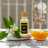 Nuve Set 4 20ml Set Hotel Collection Fragrance Oil - Inspired by Iconic Hotel Experiences - Luxury Oils for Waterless