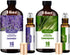 Lavender & Lemongrass Essential Oils Set, 2-Pack 16.33oz (490ml) Each, 100% Pure