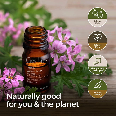 Gya Labs Organic Rose Geranium Essential Oil for Skin - Organic Geranium Oil for Diffuser & Aromatherapy (0.34 fl oz)