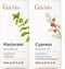 Marjoram Essential Oil for Diffuser & Cypress Essential Oil for Skin Set