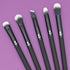 MODA Pro Deluxe Eye Makeup Brush Kit, 5pc Includes Shader, Crease, Detail, Smudger, Liner Brushes (Black)