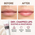 Organic Lanolin Lip Balm - Lip Repair for Hot/Dry Weather, Natural Nipple Cream, Moisturizer for Cracked Lips