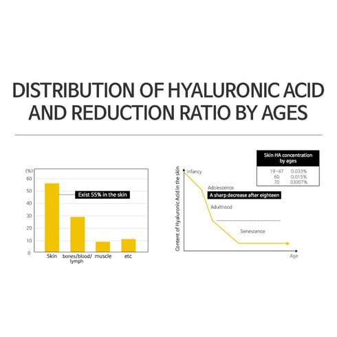 Waterfall Moist Balanced Hyaluronic Acid 100 Moisturizing Ampoule 20ml, Korean Skincare, Paraben Free, Rich Moisture