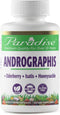 Paradise Herbs Andrographis, Elderberry, Isatis, Honeysuckle - Super Potent, Vegan, Non-GMO, 60 Capsules