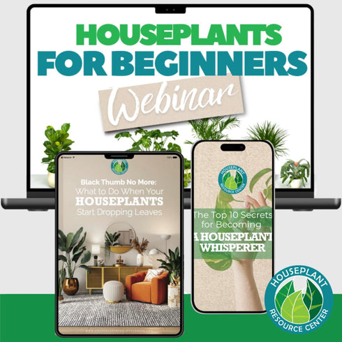 Leaf Armor Spray for Houseplants, Protects Against Fungal Spots, Gentle Natural Formula, 8 oz Made in USA