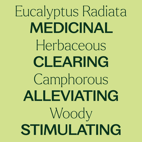 Plant Therapy Eucalyptus Radiata Essential Oil, 100 mL (3.3 oz), 100% Pure, Undiluted