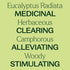 Plant Therapy Eucalyptus Radiata Essential Oil, 100 mL (3.3 oz), 100% Pure, Undiluted