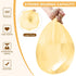 5 Rolls Small Trash Bags, 2.6 Gallon, 100 Count, Durable Plastic Bags for Kitchen Office Home