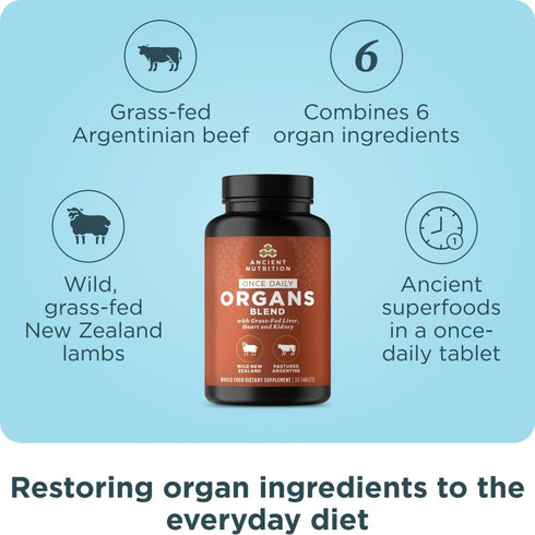Ancient Nutrition Organ Supplements - Once Daily Grass-Fed and Wild Organ Complex Capsules for Liver, Heart, Kidney