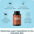 Ancient Nutrition Organ Supplements - Once Daily Grass-Fed and Wild Organ Complex Capsules for Liver, Heart, Kidney