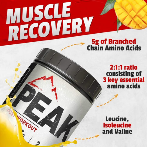 Peak Post Workout Supplement - BCAA 2:1:1 Creatine and Glutamine for Muscle Recovery - 30 Servings - Tropical Mango