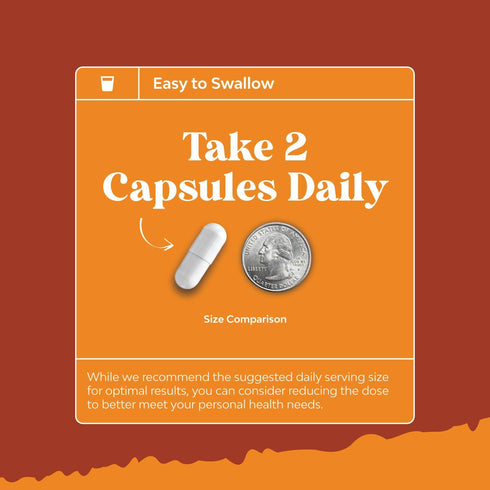 White Kidney Bean Energy Booster - Natural Energy Supplement & AMPK Activator, Antioxidant Capsules