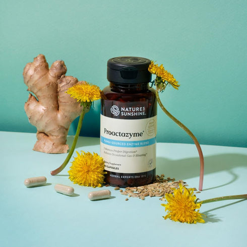 Nature's Sunshine Proactazyme, 100 Capsules
