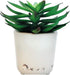 Sleep Plant Sound Machine - Fan Sounds - White Noise - Nature Sounds