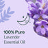Plant Therapy Lavender Fine Essential Oil, 10 mL (1/3 oz), 100% Pure, Therapeutic Grade