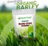Organic Barley Grass Powder, Antioxidant-Rich Energy Booster, 100% Natural Superfood, Vegan, Gluten Free, Non-GMO, 1 Lb