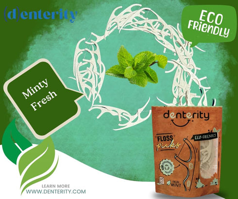 Biodegradable Dental Floss Picks, Earth Friendly Handle, Mint Flavor, 75ct Pack of 1, White
