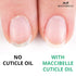 Maccibelle Milk & Honey Pure Cuticle & Nail Oil Pen 2ml for Healing Dry Cracked Cuticles