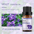 GREENSLEEVES Violet Essential Oil Set, 100% Pure Violet Aromatherapy Oils for Diffuser, Humidifier - 10ml