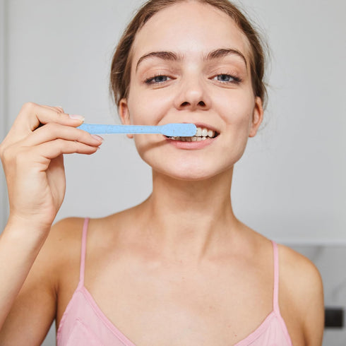 Pack 12 Wheat Straw Handle Toothbrush of with Soft Charcoal Bristles Ergonomic Manual Toothbrushes Portable for Travel