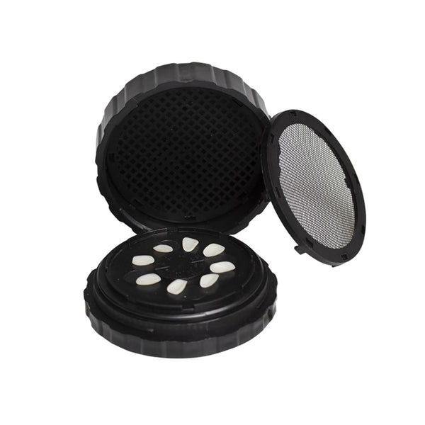 Denture Case, Dental All-Ceramic Veneer Processing Box, Reusable Black Storage Box with Spare Pad