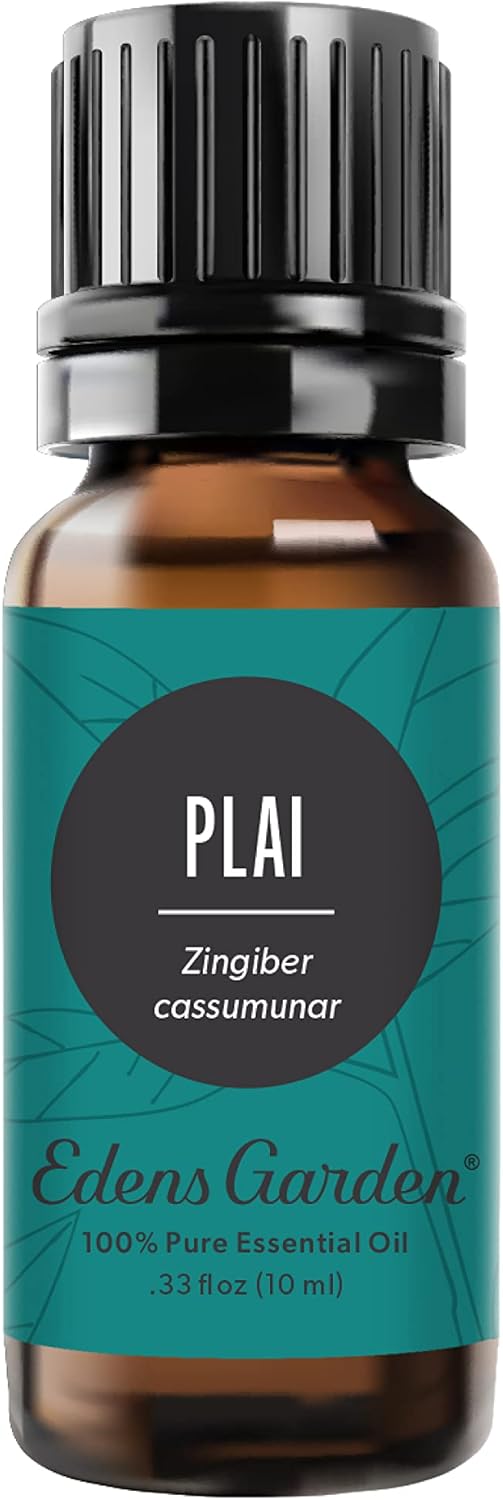Plai Essential Oil - 100% Pure Premium Grade, Undiluted, Natural, Therapeutic, 10 ml by Edens Garden