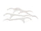 Mint Flavored Floss Picks, Individually Wrapped, Bulk Pack of 200