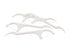 Mint Flavored Floss Picks, Individually Wrapped, Bulk Pack of 200