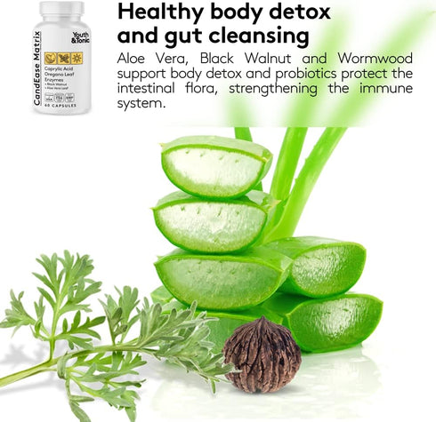 Immune 90 Youth & Tonic Oregano & Caprylic Acid Gut Health Supplement with Probiotics & Herbs for Gut Flora Balance