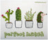 Mixed Cactus Set of 3 Swedish Dishcloths | ECO Friendly Absorbent Cleaning Cloths | Reusable Wipes
