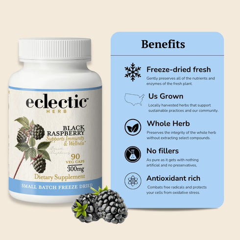 Eclectic Herb Black Raspberry Capsules, 90 CT (300 mg) | Vegan Superfood Supplement & Immune Support