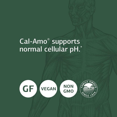 Standard Process Cal-Amo - Cellular pH and Lung Support Supplement, 90 Tablets