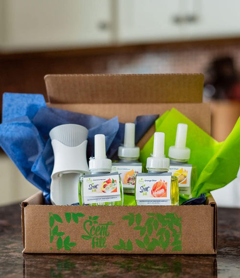 Summer Scent Fill Plug in Air Freshener Kit, 4 Refills + Diffuser (Cucumber Melon, Grapefruit Vanilla, Island Essence)