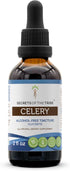 Secrets of the Tribe Celery Tincture, Alcohol-Free Liquid Extract, 2 FL OZ