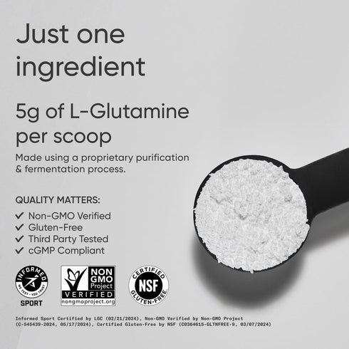 Sports Research L-Glutamine, Workout Recovery, Immune Health & Gut Health Support - 5 G Per Serving