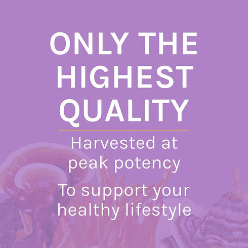 Immune 3.5 oz (66 Host Defense Lion's Mane Powder - Brain Health Support Supplement - Mushroom Supplement to Support