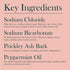 Ioxan Salt N' Soda Toothpowder for Oral Care