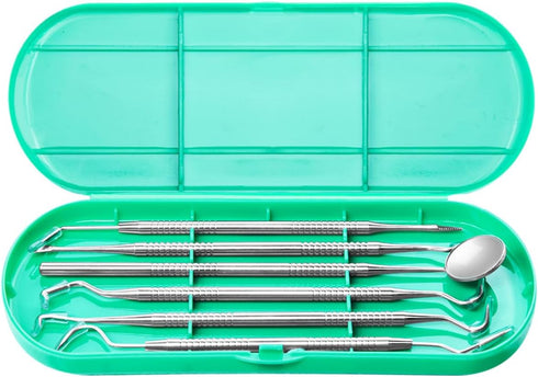 Dental Tools Plaque Remover Kit, Stainless Steel Tooth Cleaning Tools with Case