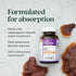 New Chapter Reishi Mushroom, LifeShield Reishi for Healthy Aging, 60 ct