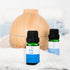 MitFlor Clean Fragrance Oil Set - Scented Essential Oils for Diffusers and Soap Candle Making - 6 x 10ml.