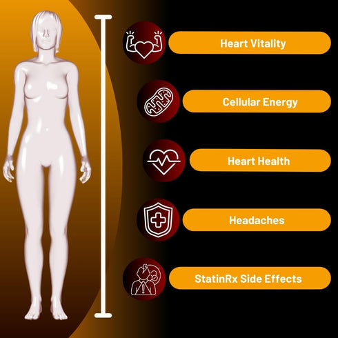 Advanced Absorption 200mg CoQ10 with Black Pepper Extract | 90 Softgels for Heart & Brain Health