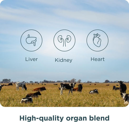 Ancient Nutrition Organ Supplements - Once Daily Grass-Fed and Wild Organ Complex Capsules for Liver, Heart, Kidney