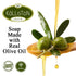 Natural Soap Bars, Extra Virgin Olive Oil, Fragrance Free, Hypoallergenic, Cruelty Free, Pack of 4